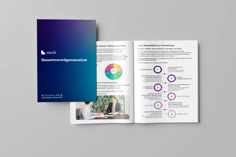 Gesamtvermögensanalyse PDF Brochure