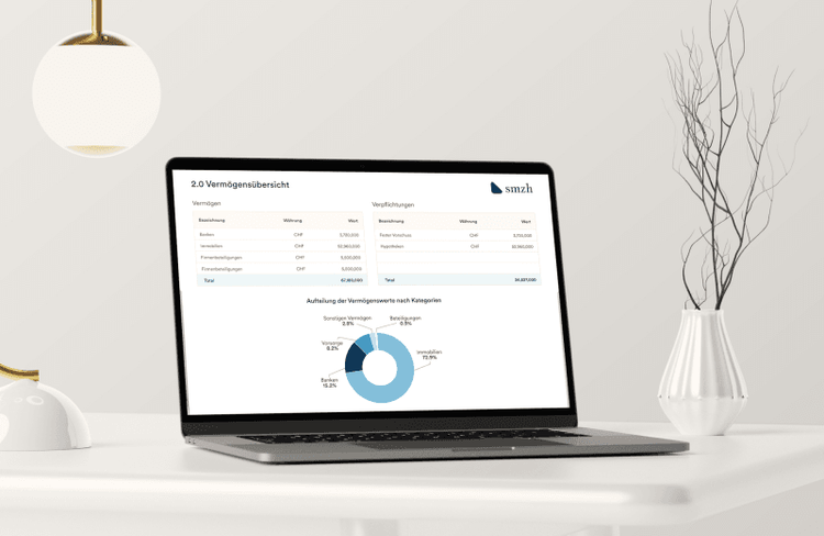 Gesamtvermögensanalyse Cover